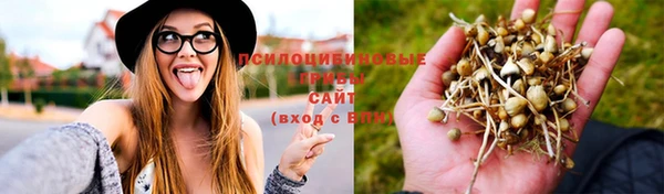 мдпв Липки
