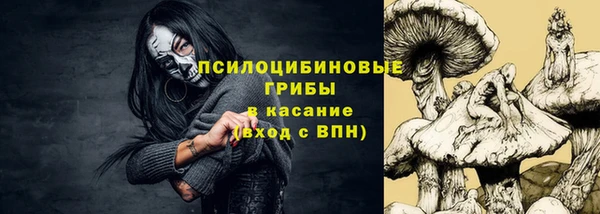 мдпв Липки
