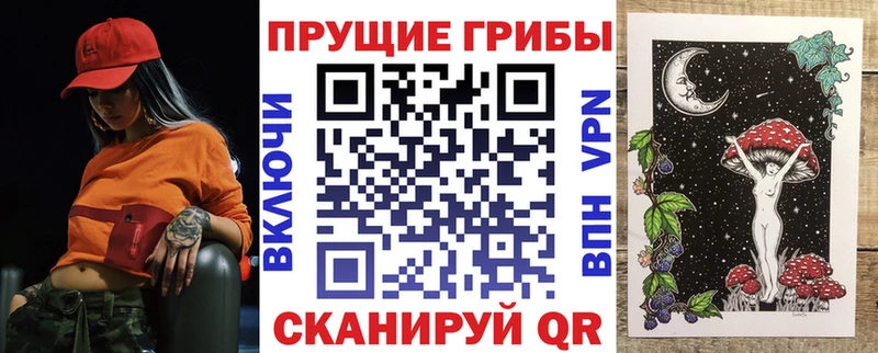 купить наркотик Сокол Псилоцибиновые грибы ЛСД