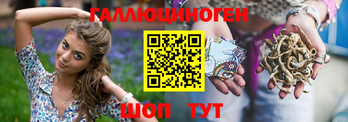 Галлюциногенные грибы Psilocybe  Вход с VPN  Сокол 