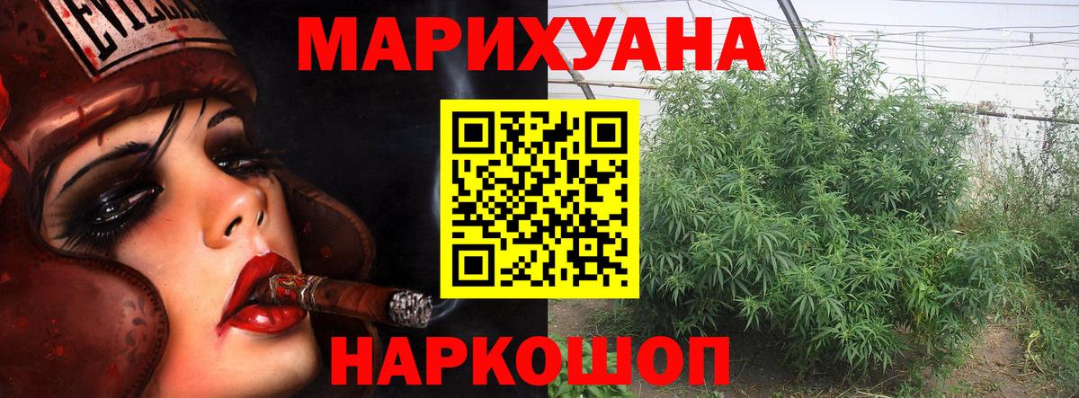 Канабис конопля Сокол